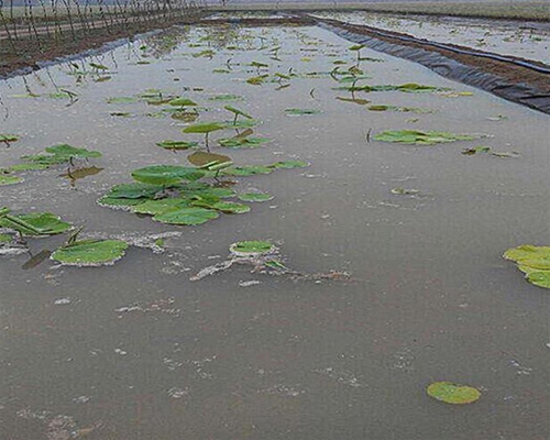 魚(yú)塘防滲土工膜